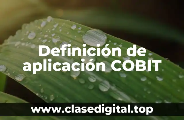 Ejemplos de aplicación COBIT