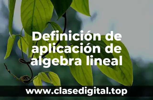 Definición de aplicación de algebra lineal
