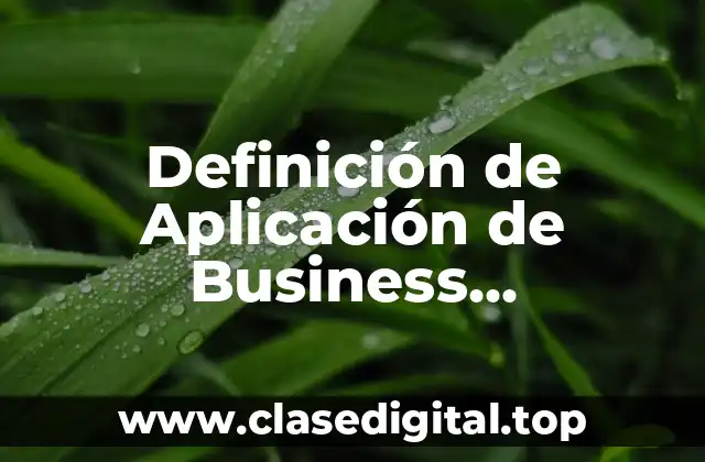 Definición de Aplicación de Business Intelligence