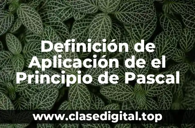 Definición de Aplicación de el Principio de Pascal