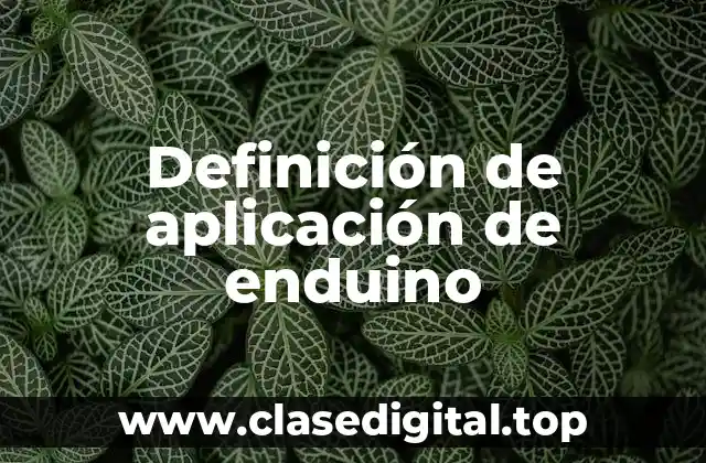 Definición de aplicación de enduino