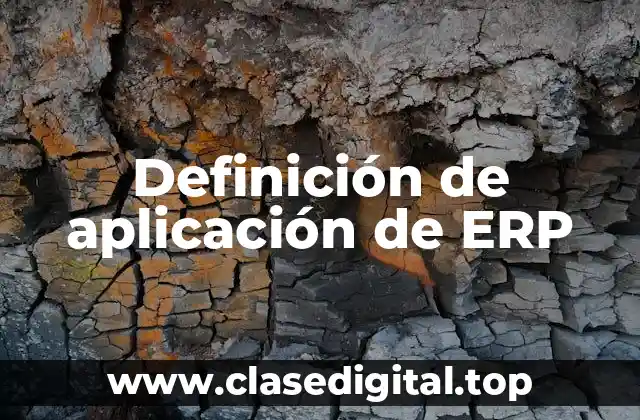 Definición de aplicación de ERP