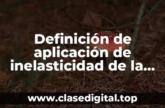 Definición de aplicación de inelasticidad de la demanda
