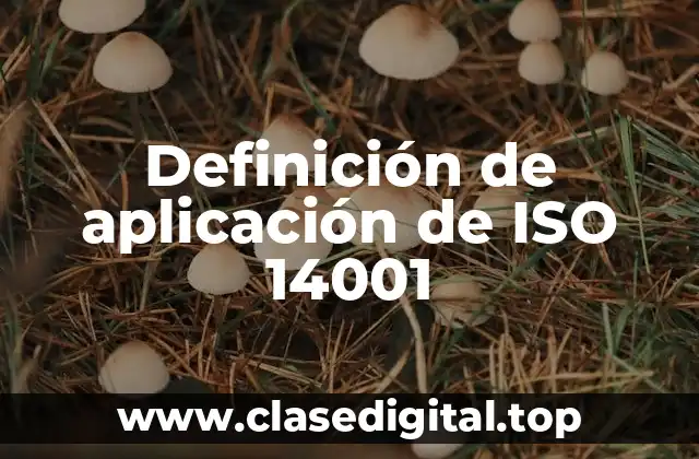 Ejemplos de aplicación de ISO 14001