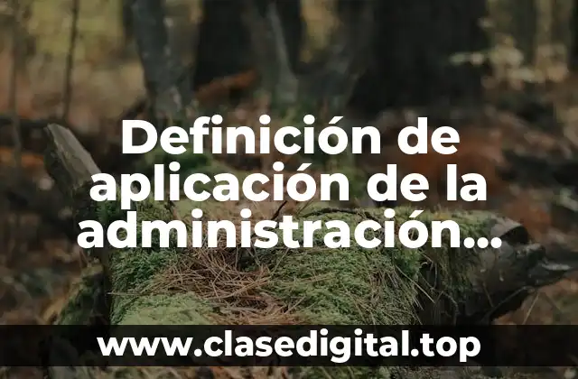 Definición de aplicación de la administración gerencial