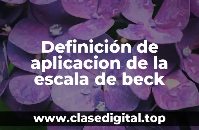 Definición de aplicacion de la escala de beck
