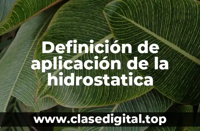 Definición de aplicación de la hidrostatica
