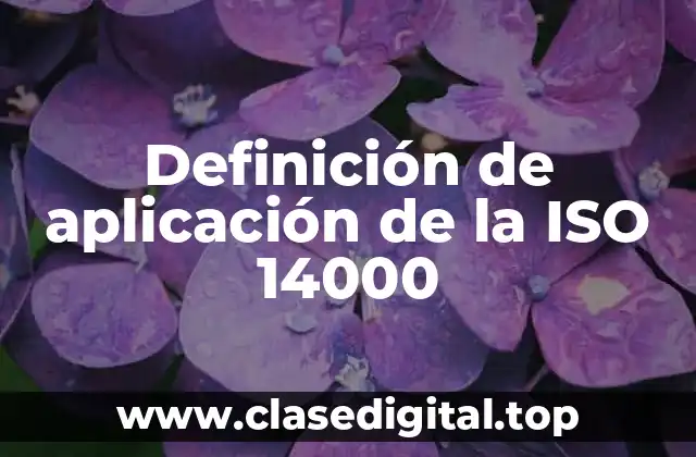 Definición de aplicación de la ISO 14000