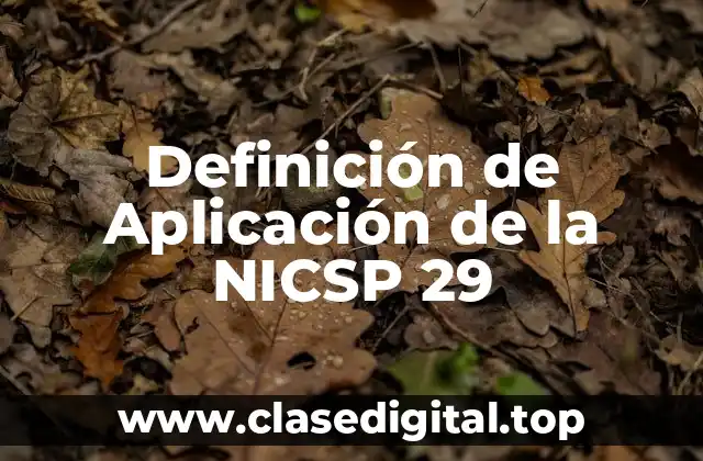 Definición de Aplicación de la NICSP 29