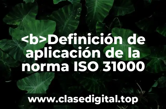 <b>Definición de aplicación de la norma ISO 31000