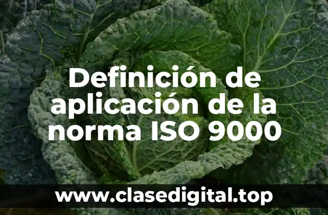 Definición de aplicación de la norma ISO 9000