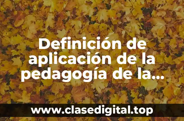 Definición de aplicación de la pedagogía de la comprensión