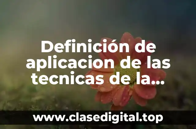 Definición de aplicacion de las tecnicas de la cromatografia