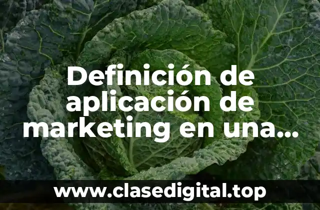 Definición de aplicación de marketing en una empresa pública