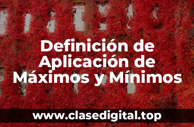 Definición de Aplicación de Máximos y Mínimos
