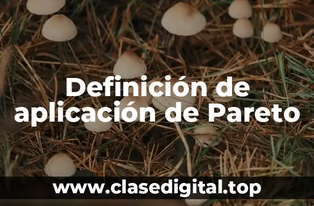 Definición de aplicación de Pareto
