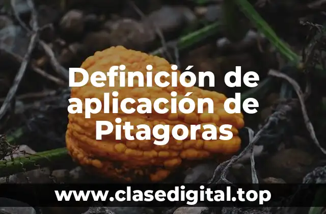 Definición de aplicación de Pitagoras