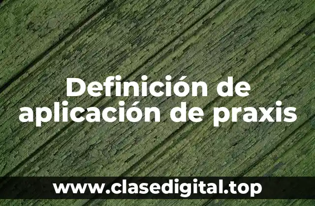 Definición de aplicación de praxis