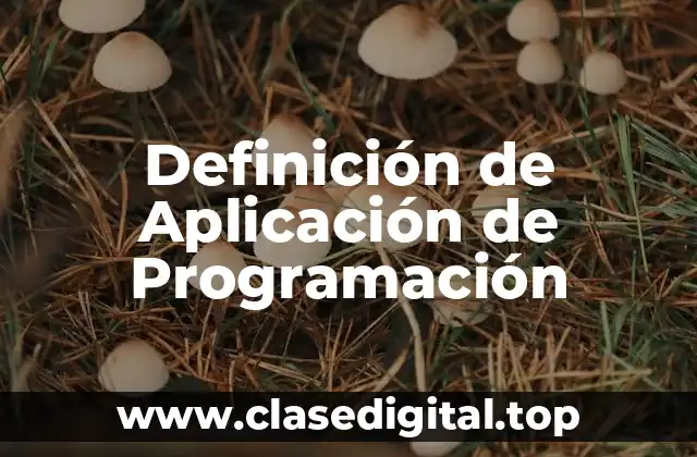 Definición de Aplicación de Programación