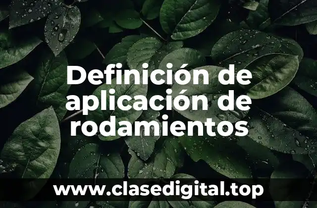 Definición de aplicación de rodamientos