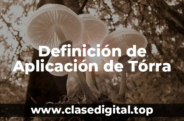Definición de Aplicación de Tórra