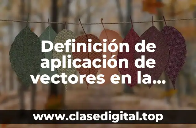 Definición de aplicación de vectores en la construcción