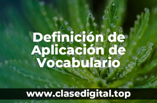 Definición técnica de Aplicación de Vocabulario