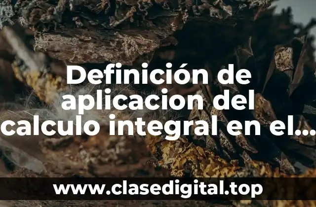 Definición de aplicacion del calculo integral en el iia
