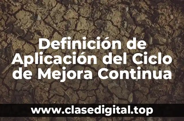 Definición de Aplicación del Ciclo de Mejora Continua