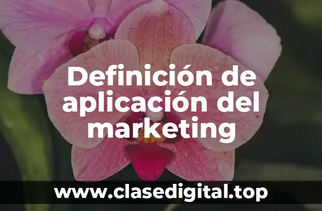 Definición de aplicación del marketing