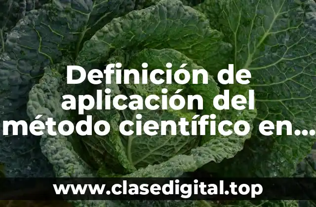 Definición de aplicación del método científico en la física