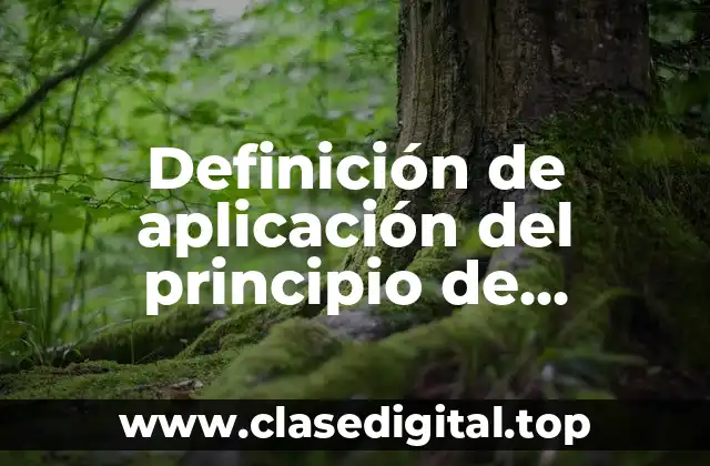 Definición de aplicación del principio de conservación de la energía