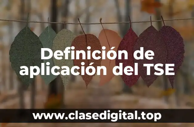 Definición de aplicación del TSE