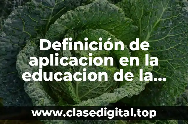 Definición de aplicacion en la educacion de la nanotecnologia