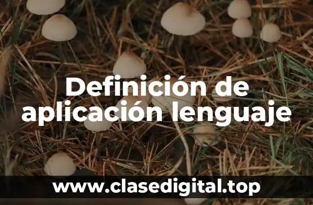 Definición de aplicación lenguaje