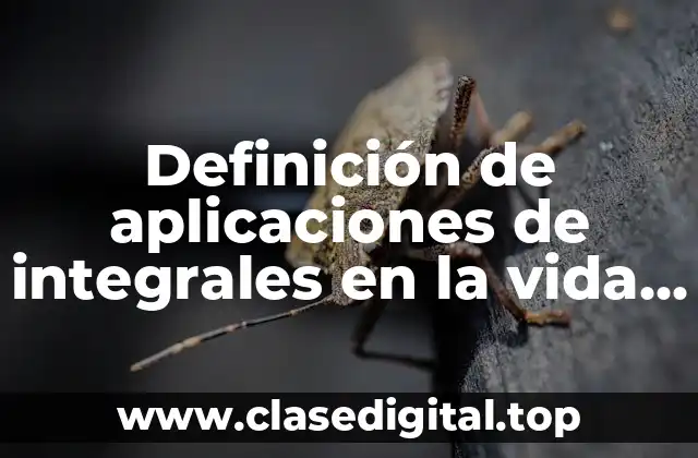 Definición de aplicaciones de integrales en la vida real
