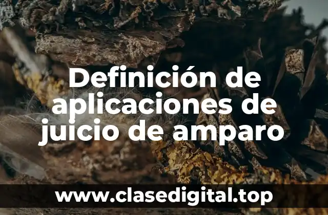 Ejemplos de aplicaciones de juicio de amparo