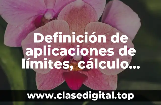 Definición de aplicaciones de límites, cálculo diferencial en la industria