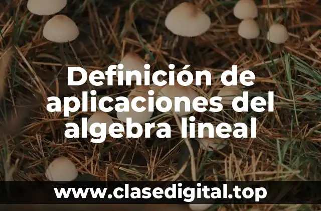Definición de aplicaciones del algebra lineal