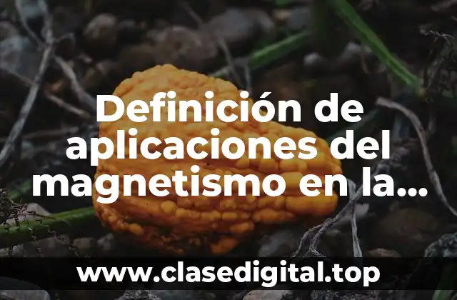 Definición de aplicaciones del magnetismo en la vida cotidiana