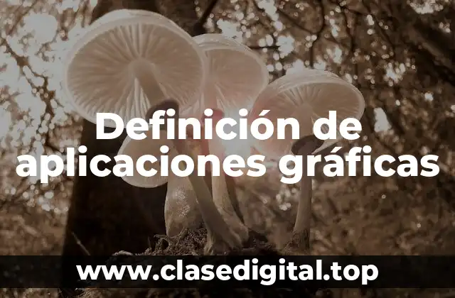 Definición técnica de aplicaciones gráficas