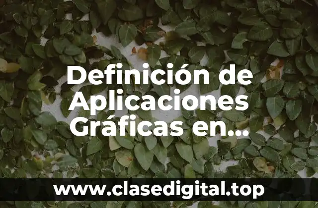 Definición de Aplicaciones Gráficas en Informática