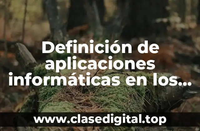 Definición de aplicaciones informáticas en los campos comerciales