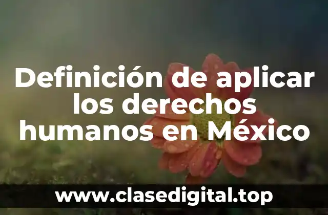 Definición de aplicar los derechos humanos en México