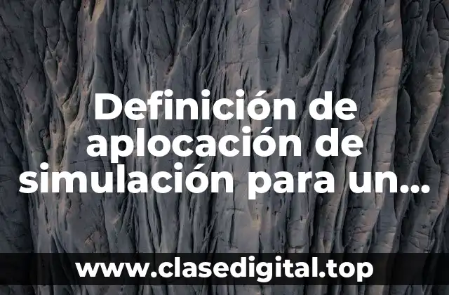 Definición de aplocación de simulación para un negocio