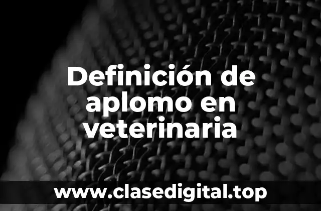 Definición de aplomo en veterinaria