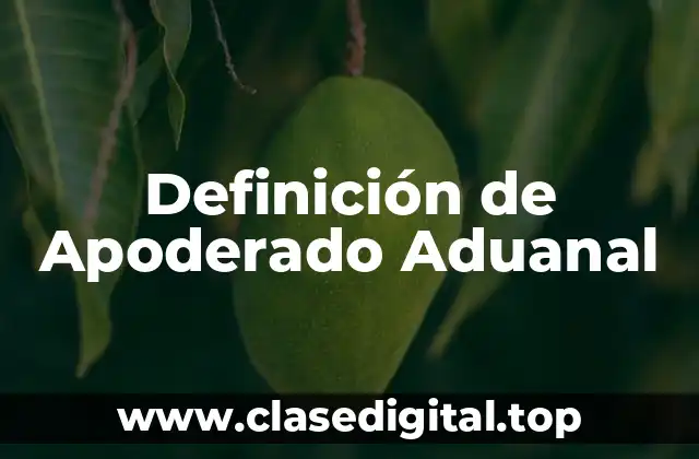 Definición de Apoderado Aduanal