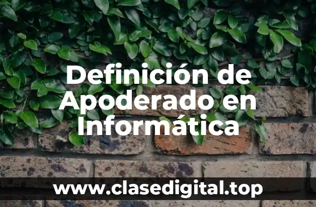 Definición de Apoderado en Informática