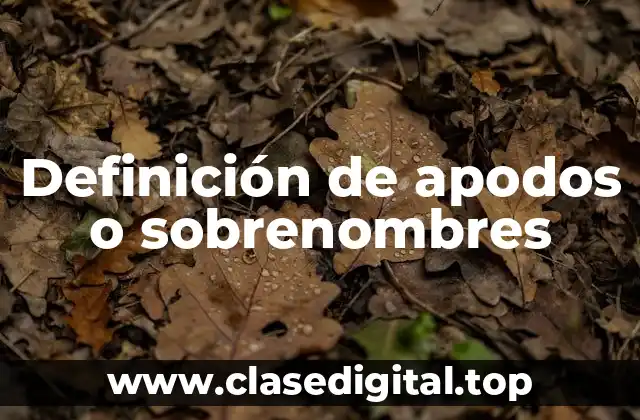 Definición de apodos o sobrenombres