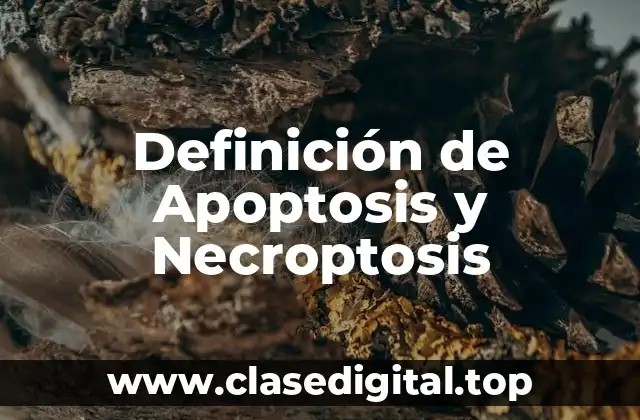 Definición de Apoptosis y Necroptosis